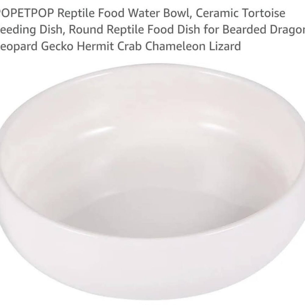 White Ceramic Reptile Food Bowl